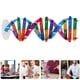 thumbnail image 3 of Modelo de ADN de 3 piezas: Kit de modelo de ADN de doble hélice DIY - Herramienta de aprendizaje de genes científicos para estudiantes - Juguete de estructura molecular para biología, 3 of 7