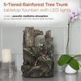 thumbnail image 3 of Alpine Corporation Outdoor 5-Tier Rainforest Tree Trunk Water Fountain, LED Lights, 3 of 12