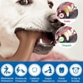 thumbnail image 4 of Juguete de Dentición Sabor Carne Resistente para Perros Medianos y Grandes, 4 of 6