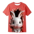 thumbnail image 4 of Huachaog Boy Short Sleeve T Shirts Easter Cartoon Print Short Sleeves Colorful Graphic Tees Blouse,10-11 Y, 4 of 4