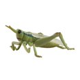 thumbnail image 3 of Animal Model Statues for Goodie Bag Stuffers Cupcake Toppers Home Decoration grasshopper, 3 of 8