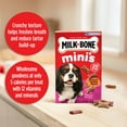 MilkBone Mini's Peanut Butter Flavor Dog Biscuits Small Snacks Variety Pack with Bacon 15