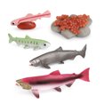 thumbnail image 2 of letairis Simulation Insect Plastic Animal Early Growth Preschool Model Miniature Educational Props Cognition Toy for Children Type 7, 2 of 8