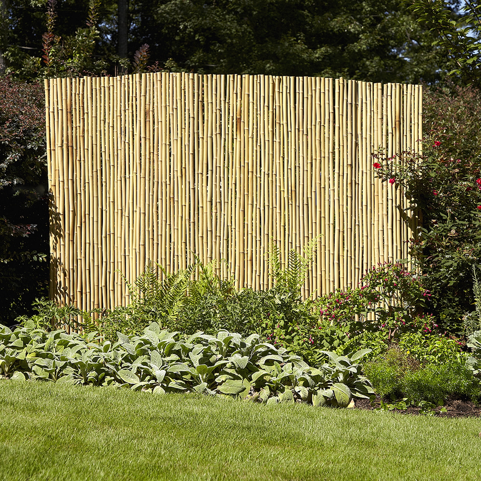 ALL NATURAL BAMBOO REED FENCE 6' x 25' ***CLOSEOUT*** 