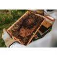 thumbnail image 4 of Harvest Lane Honey Veste d'Apiculture, Grande, 4 of 9