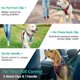 thumbnail image 3 of Arnés para perros, arnés de chaleco con clip Arnés para auto para perros con almohadilla Adjable malla capaz y fácil de, 3 of 4