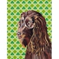 thumbnail image 1 of Carolines Treasures SC9574CHF Boykin Spaniel St Patricks Irish Flag Canvas House Size, 1 of 4