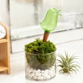 thumbnail image 6 of Automatic Watering Stakes ,Self Watering Bird Shaped Irrigation Device ,Plastic and Porous Clay Finish ,Indoor Potted Plant Care and Home Garden Hydration,6.54 in., 6 of 6