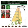 thumbnail image 2 of Table Top Grow Light 200W, Desk Grow Lights for Indoor Plants, UV-IR Full Spectrum Plant Growing Lamp Height Adjustable, 2 of 5