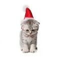 thumbnail image 4 of Gorros para hámster, disfraz de conejillo de indias, minigorro de Papá Noel para gatito, Chinchilla, conejo, erizo, ardilla, ratas, pato, cachorro recién nacido, 4 of 5