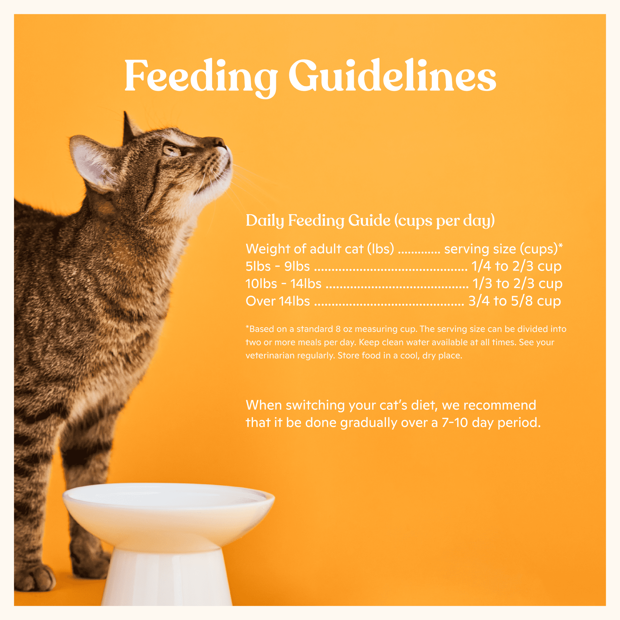 Made by Nacho Dry Cat Kibble, Infused with Bone Broth for Hydration, Sustainably Caught Salmon and Pumpkin, High Protein and Grain-Friendly Premium Cat Food, Limited Ingredients, 7.5lb Bag