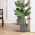 thumbnail image 6 of Kozyard 2Packs Taper Planter Indoor Outdoor Plant Pots with Tray Collecting Water for Porch, Patio, Backyard Planters Modern Décor for Tall Plants Flowers GrayishBrown, 6 of 7