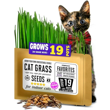 Cat Grass Seeds Favorites Blend Soft MVR1 Wheatgrass & Smooth Grows 19 Pots of Fresh Cat Grass for Indoor Cats - Easy & Fast - Small Pack Grows 200 Square inches of Edible cat Grass - Vitamunch