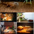 thumbnail image 2 of Alfombra para reptiles Hamiledyi, fibra de coco natural, 50 x 30 x 1 cm, 4 unidades, 2 of 7