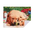 thumbnail image 1 of Tapis De Séchage En Microfibre (Ballon À Mâcher Des Chiens) - Ensemble De 2, 1 of 1
