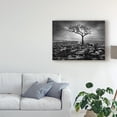 thumbnail image 3 of Trademark Fine Art 'Grikes And Clints' Canvas Art by Martin Henson, 3 of 4