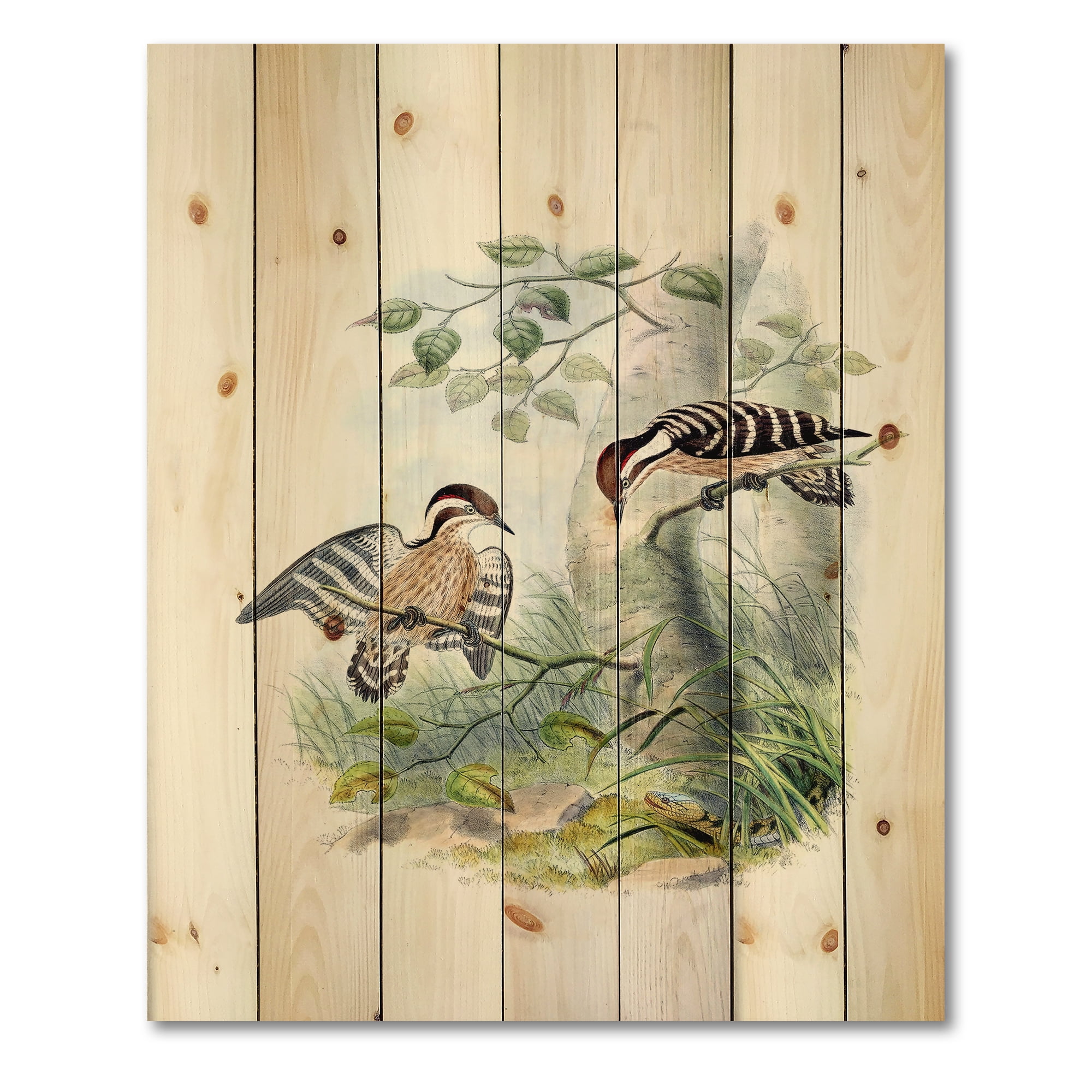 Designart 'Ancient Birds In The Wild I' Traditional Print on Natural Pine Wood