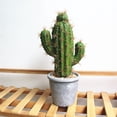 thumbnail image 3 of Coofit Artificial Cactus Decorative Vivid Fake Simulated Potted Plant Home Decor, 3 of 6