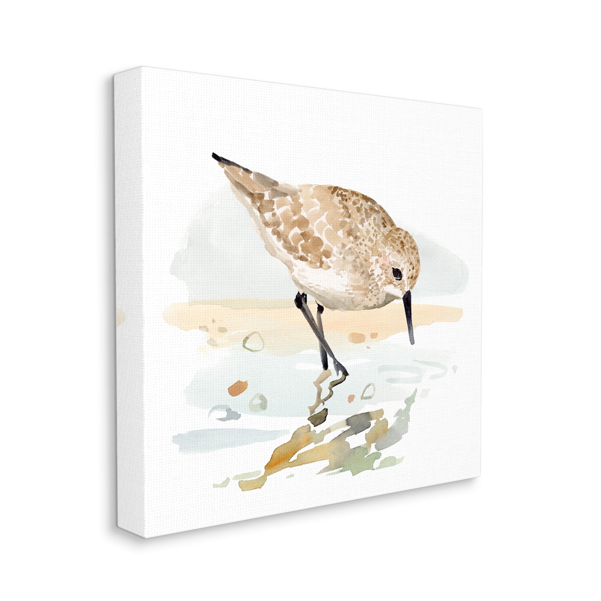 Stupell Industries Grazing Sandpiper Shoreline Animals & Insects Painting Gallery Wrapped Canvas Art Print Wall Art, 17 x 17