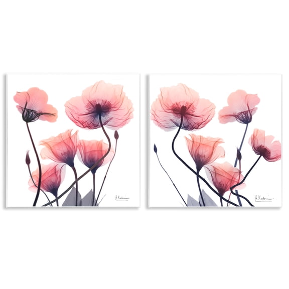 Stupell Industries Various Faded Pink Flowers Floral Painting Unframed Art Print Wall Art, 12 x 12, Set of 2