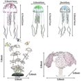 thumbnail image 1 of Tanque Ratas Silic Rium Ornts Artificial Flotante, 1 of 4