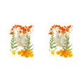 thumbnail image 2 of Juego de plantas secas Injueey Naranja 2Conjunto, 2 of 6