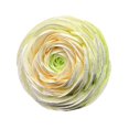 thumbnail image 1 of Clip de ventilación con flores artificiales, adorno único para decoración de interiores de automóviles, mini, reutilizable Verde, 1 of 9