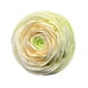 thumbnail image 1 of Mini Clip de ventilación para aire acondicionado de coche, adorno de flores, Clip de salida de aire acondicionado para coche, accesorios para coche Verde, 1 of 8