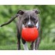 thumbnail image 2 of Pelota de Fútbol Flotante Jolly Pets Naranja Mediana para Perro, 2 of 2