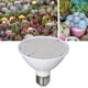 thumbnail image 1 of Bombilla De Cultivo Para Plantas, Bombilla LED E27, Luz Roja Y Azul Para Plántulas De Interior, Ahorro De Energía Sin Quemar Plantas, Reduce El Ciclo De Crecimiento, Luz Solar, 1 of 7