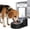Black, variant on RIZZARI Black 6L Stainless Steel Pet Water Fountain: Automatic Gravity Stainless Steel Water Dispenser - 100% BPA-Free Waterer for Dogs and Cats