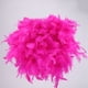 thumbnail image 4 of Lámpara colgante de plumas, lámpara colgante de plumas colgante Lámpara colgante de plumas colgantes construida para durar, 4 of 8