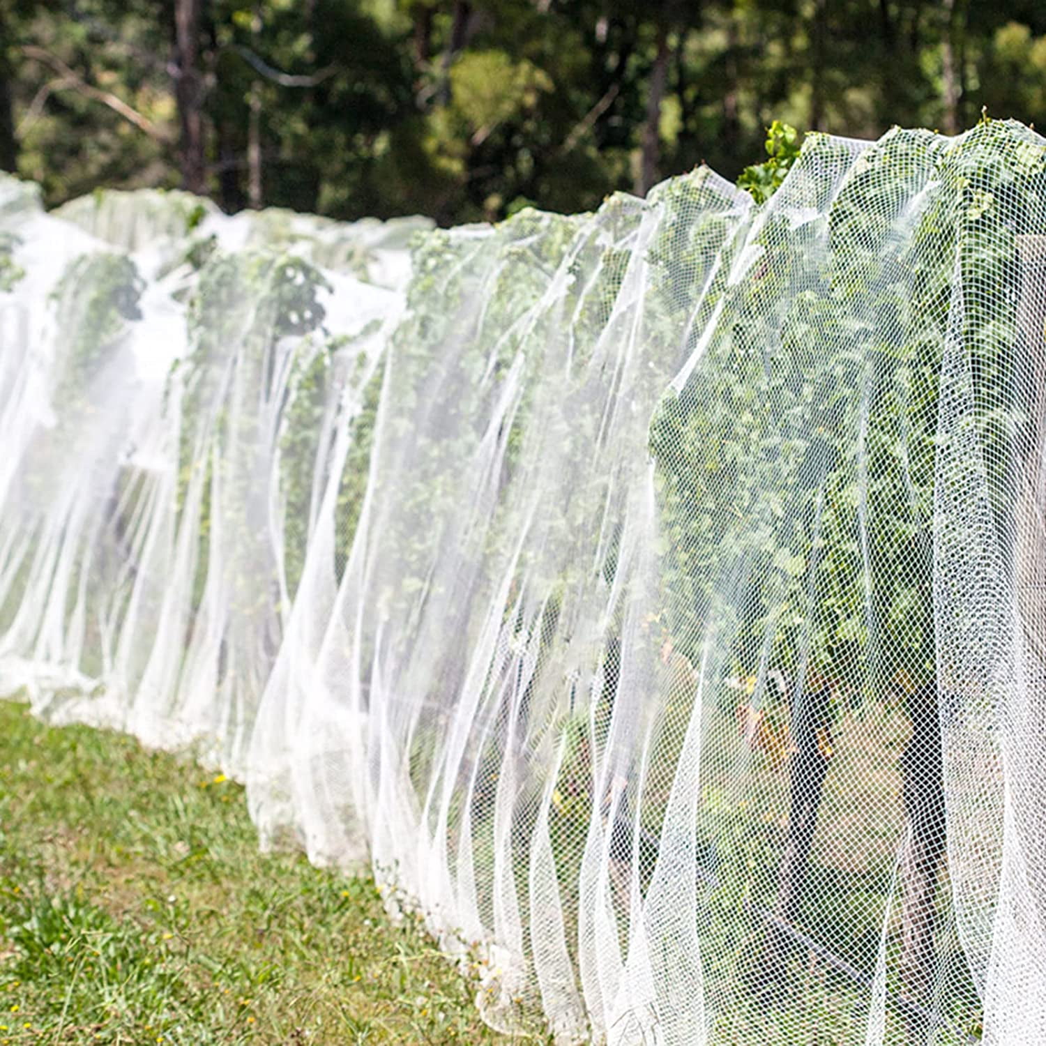 10'x20' Garden Netting Bird Netting Mosquito Mesh for Vegetable Fruits Plant Protections Covers Bug Insect Net Pest Barrier Protect from Birds Bugs