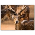 thumbnail image 1 of Picture-Tiles.com: Deer Ceramic Tile Wall Mural WAL500449-43M. 24"W x 18"H using (12) 6" x 6" Ceramic Tiles-Satin Finish, 1 of 3