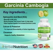 Garcinia Cambogia -Sale Three Pack - Three 90 Count Bottles 180 Caps 60% & 95% HCA Blend Multi-Level Dosing 700mg - 2400mg Maximum Strength