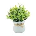 thumbnail image 3 of Plantas artificiales pequeñas, decoración de mesa, plantas artificiales en maceta, mini macetas Blanco, 3 of 9