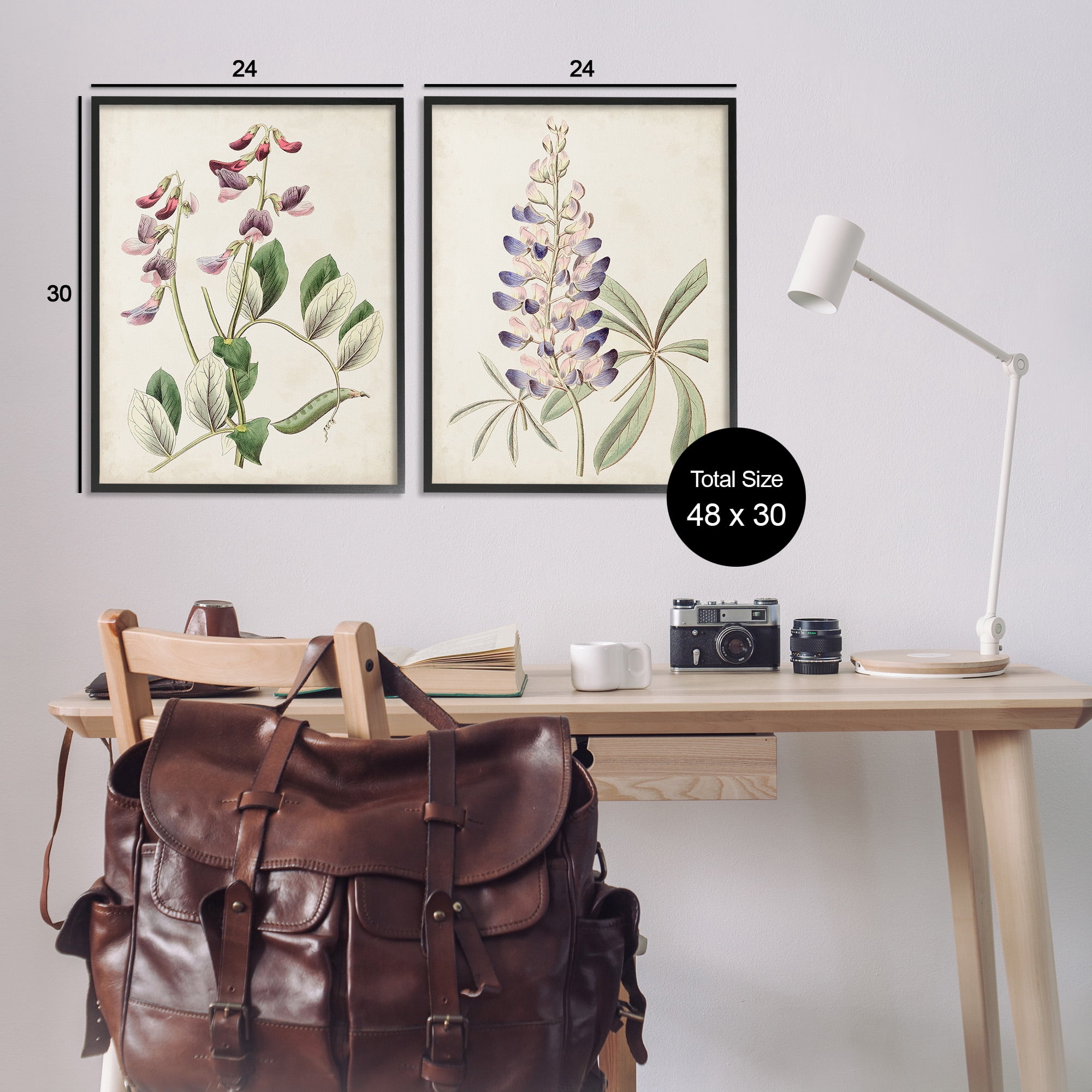 Stupell Industries Foxglove Latin Studies Botanical & Floral Painting Black Framed Art Print Wall Art, 24 x 30, Set of 2