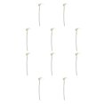thumbnail image 3 of Naiovety Flores artificiales elegantes de Calla simuladas para la decoración del hogar y estambre amarillo alto blanco estambre amarillo blanco 10Conjunto, 3 of 6
