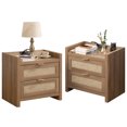 Omni House Rattan Nightstand Set of 2,Bedside Table with USB TypeC