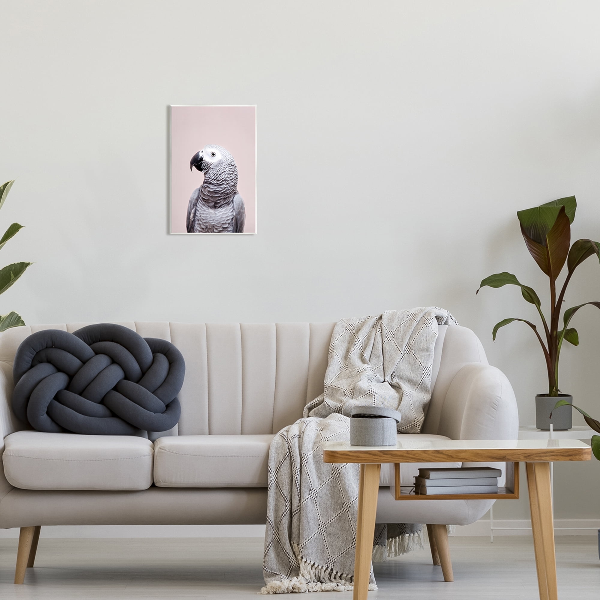 Stupell Industries African Grey Parrot Portrait Animals & Insects Photography Unframed Art Print Wall Art, 10 x 15