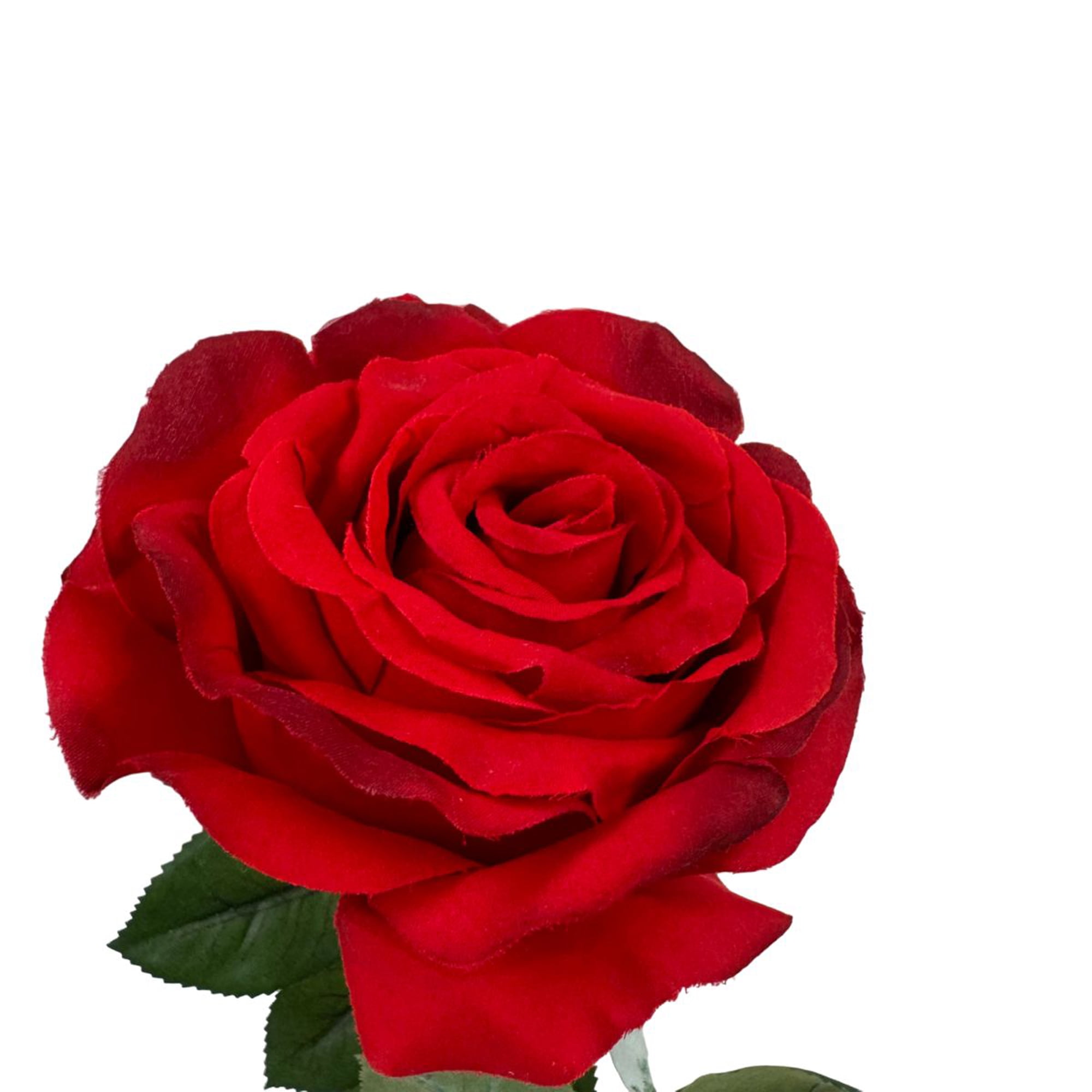 m-rose☆ 579e0b39-55f6-495a-8a84-