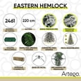 thumbnail image 4 of Árbol de Navidad Nevado Artego Eastern Hemlock 220cm 2400 RAMAS de densidad PREMIUM, 4 of 9