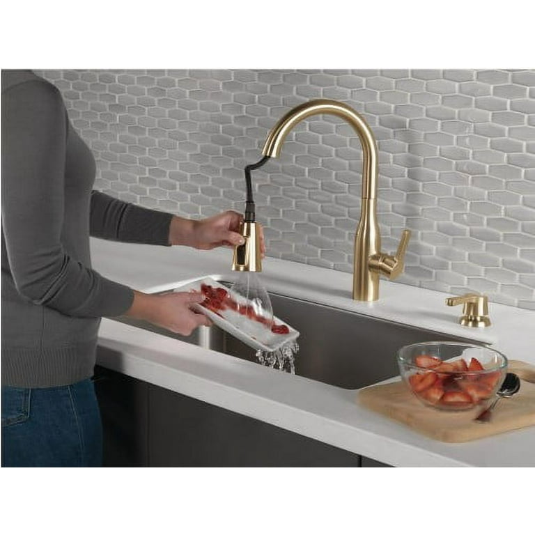 Trinsic Single-Handle Pull-Down Sprayer Kitchen Faucet with MagnaTite  Docking in Champagne Bronze