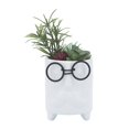thumbnail image 2 of Macetero de 3,5 d con plantas artificiales Sagebrook Home Blanco 16972-01, 2 of 2