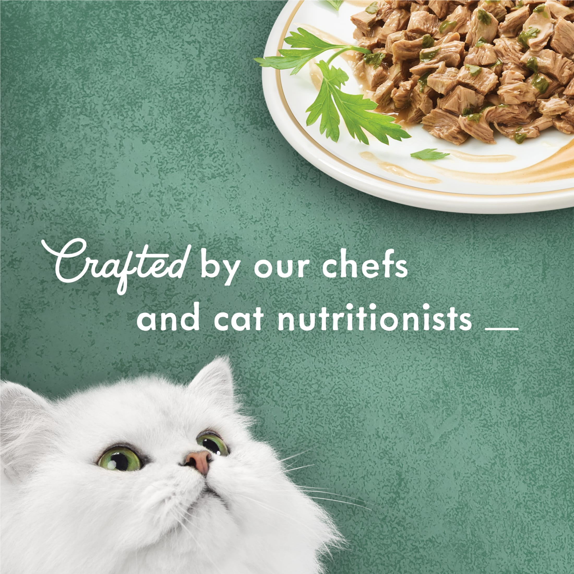 Purina Fancy Feast Medleys Tuna Florentine with Spinach in a Light Broth Gourmet Wet Cat Food, 3 oz.