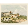 thumbnail image 3 of Alken, Henry Thomas 14x12 Black Modern Framed Museum Art Print Titled - Running Hounds, 1817, 3 of 5
