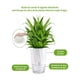 thumbnail image 3 of Sistema De Riego Automático De Plantas Y Flores, 6 Pzs. BLANCO, 3 of 5
