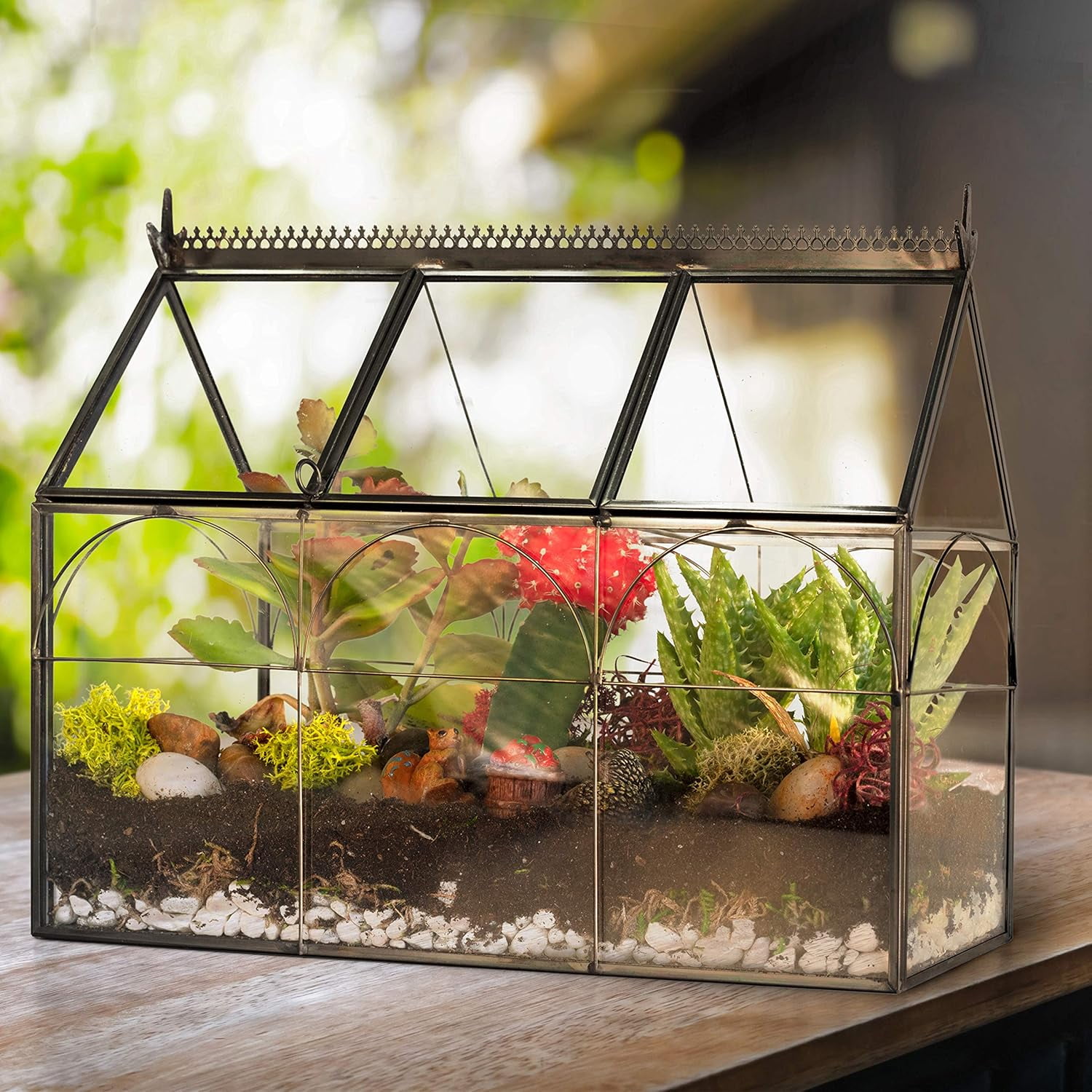D'Eco Glass Greenhouse Terrarium (10x4.5x9) - Tabletop Black Hinged Geometric Planter - Succulents, Air Plants, Moss, Fern - Home, Garden Office & Wedding Decor - Gift for Plant Lovers
