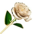 thumbnail image 2 of 1*Gold-Plated Rose Clearance! Gold Dipped Rose Gold Rose with Transparent Stand Real Long Stem Rose Flower for Her Mom Wife Anniversary Mothers Day Birthday Valentine's Wedding, 2 of 6