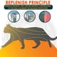 thumbnail image 1 of Collar Antipulgas Para Mascotas, Suministros Ajustables Para Mascotas, Cachorro Gato Para Collar De Perro, 1 of 8